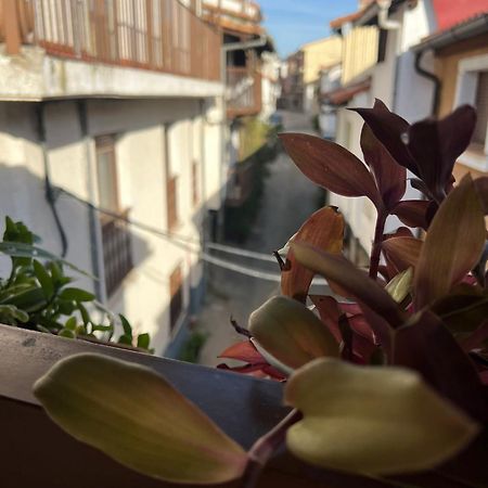 La Golondrina Apartman Candeleda Kültér fotó